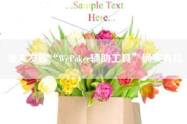 重大发现“WePoker辅助工具”确实有挂