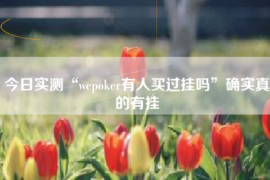 今日实测“wepoker有人买过挂吗	”确实真的有挂