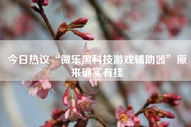 今日热议“微乐黑科技游戏辅助器	”原来确实有挂