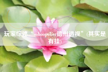 玩家综述“sohoopoker德州透视”(其实是有挂)