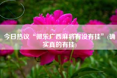 今日热议“微乐广西麻将有没有挂”(确实真的有挂)