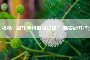 揭秘“微乐手机麻将规律”(确实能开挂)