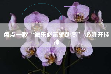 盘点一款“微乐必赢辅助器”(必胜开挂神