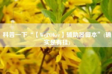 科普一下“【WePOKer】辅助器脚本	”(确实是有挂)