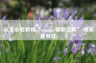 玩家必看教程“aapoker辅助工具	”(其实是有挂)