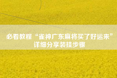 必看教程“雀神广东麻将买了好运来”详细分享装挂步骤