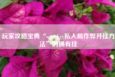 玩家攻略宝典“wepoker私人局作弊开挂方法”的确有挂