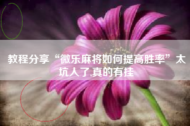 教程分享“微乐麻将如何提高胜率	”太坑人了,真的有挂