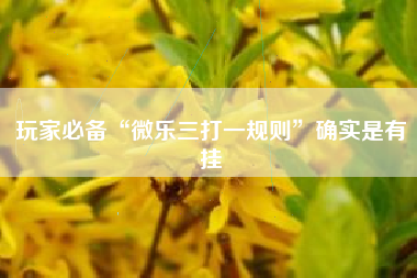 玩家必备“微乐三打一规则”确实是有挂