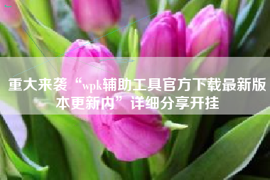 重大来袭“wpk辅助工具官方下载最新版本更新内”详细分享开挂