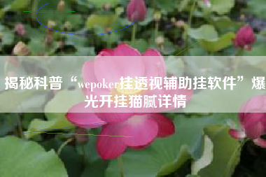 揭秘科普“wepoker挂透视辅助挂软件”爆光开挂猫腻详情