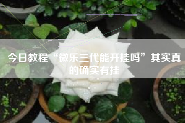 今日教程“微乐三代能开挂吗”其实真的确实有挂