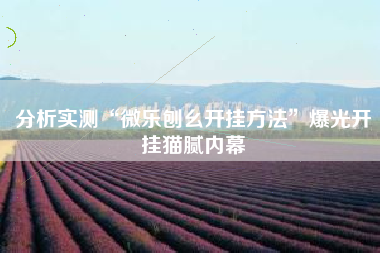 分析实测“微乐刨幺开挂方法	”爆光开挂猫腻内幕