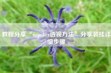 教程分享“wepoker透视方法	”分享装挂详细步骤