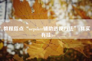 教程指点“wepoker辅助透视方法”(其实有挂)