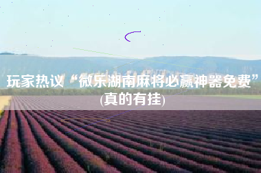玩家热议“微乐湖南麻将必赢神器免费	”(真的有挂)