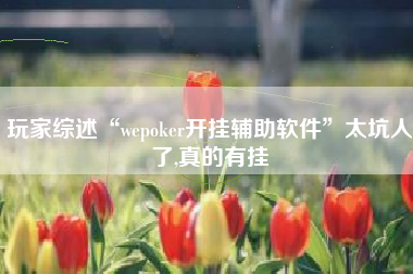 玩家综述“wepoker开挂辅助软件”太坑人了,真的有挂