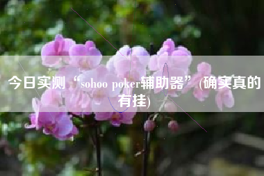 今日实测“sohoo poker辅助器”(确实真的有挂)
