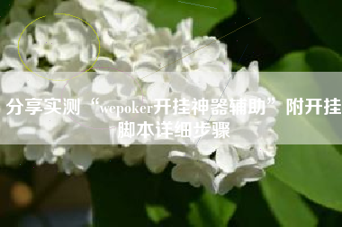 分享实测“wepoker开挂神器辅助”附开挂脚本详细步骤