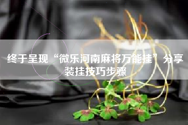 终于呈现“微乐河南麻将万能挂	”分享装挂技巧步骤