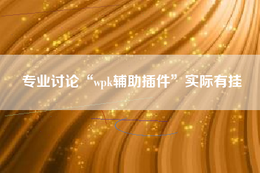 专业讨论“wpk辅助插件”实际有挂