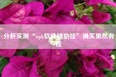 分析实测“wpk软件辅助挂	”确实果然有挂