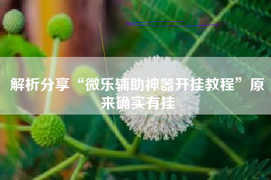 解析分享“微乐辅助神器开挂教程”原来确实有挂