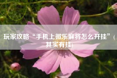 玩家攻略“手机上微乐麻将怎么开挂”(其实有挂)