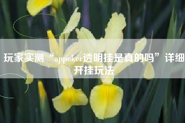 玩家实测“appoker透明挂是真的吗”详细开挂玩法