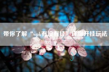 带你了解“wpk有没有挂”详细开挂玩法