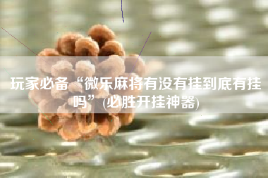 玩家必备“微乐麻将有没有挂到底有挂吗”(必胜开挂神器)