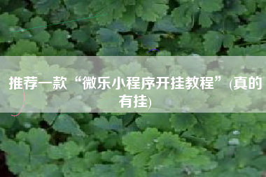 推荐一款“微乐小程序开挂教程”(真的有挂)