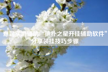 查到实测辅助“德扑之星开挂辅助软件”分享装挂技巧步骤