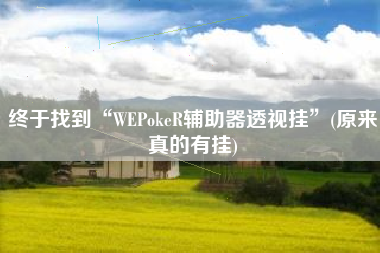 终于找到“WEPokeR辅助器透视挂	”(原来真的有挂)