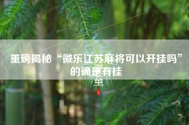 重磅揭秘“微乐江苏麻将可以开挂吗”的确是有挂