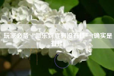 玩家必备“微乐到底有没有挂”(确实是有挂)