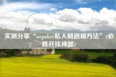 实测分享“wepoker私人局透视方法	”(必胜开挂神器)