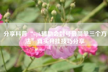 分享科普“wpk辅助会封号最简单三个方法”真实开挂技巧分享