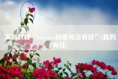 实测教程“hhpoker到底有没有挂	”(真的有挂)