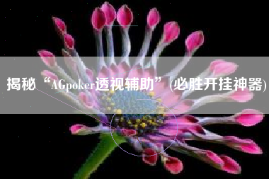 揭秘“AGpoker透视辅助”(必胜开挂神器)