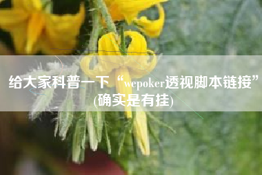 给大家科普一下“wepoker透视脚本链接	”(确实是有挂)