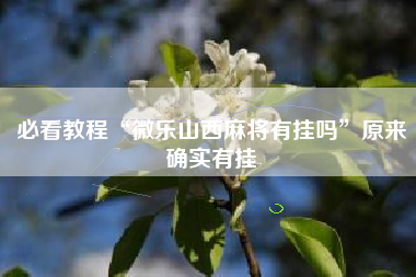 必看教程“微乐山西麻将有挂吗	”原来确实有挂