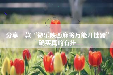 分享一款“微乐陕西麻将万能开挂器”确实真的有挂