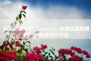 玩家必备攻略“wepokerplus透视挂真的假的	”原来真可以开挂