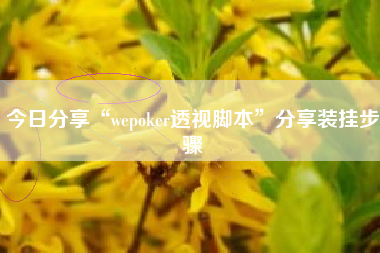 今日分享“wepoker透视脚本	”分享装挂步骤