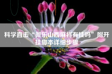 科学直击“微乐山西麻将有挂吗”附开挂脚本详细步骤