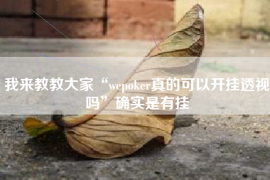 我来教教大家“wepoker真的可以开挂透视吗”确实是有挂