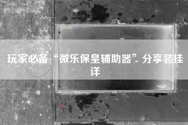 玩家必备“微乐保皇辅助器	”分享装挂详