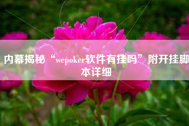 内幕揭秘“wepoker软件有挂吗”附开挂脚本详细