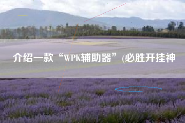 介绍一款“WPK辅助器”(必胜开挂神
